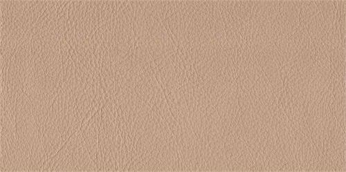 Fabric | Leather | Medium color
